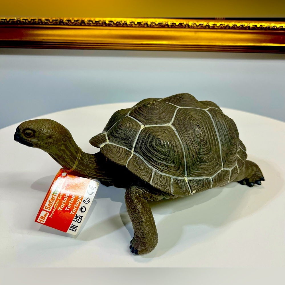 Safari Ltd. Incredible Creatures Tortoise 🐢 
Handsome Rubberized likenesss. Fun!